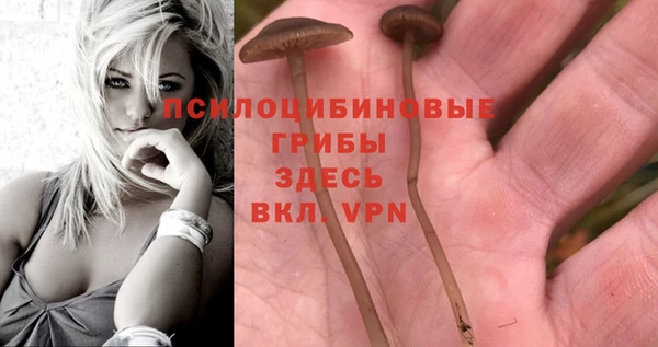 mix Костерёво