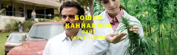сатива Новокубанск