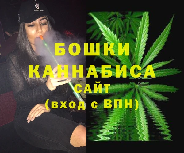 крисы Корсаков